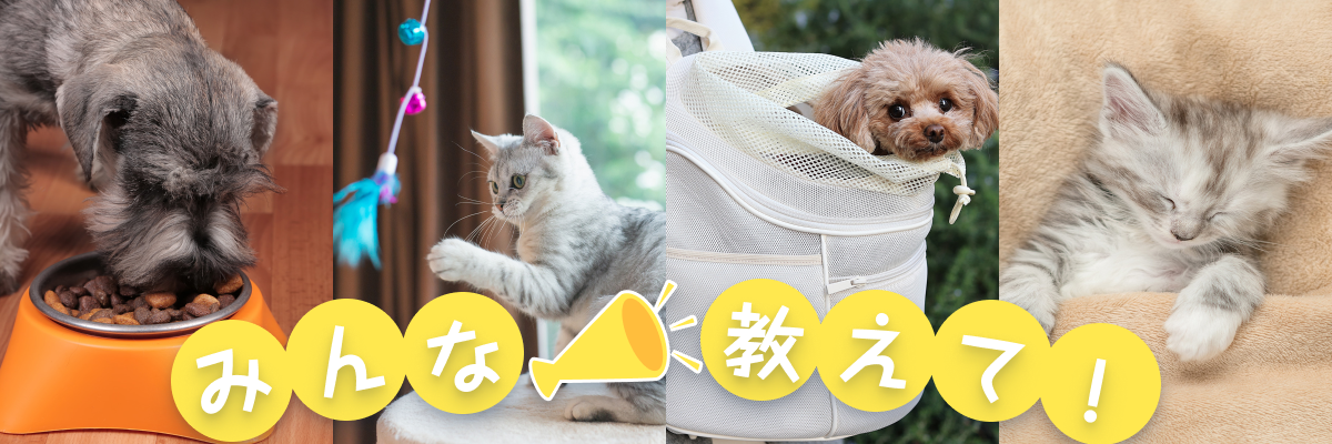 みんな教えて!ペットの快適ライフ