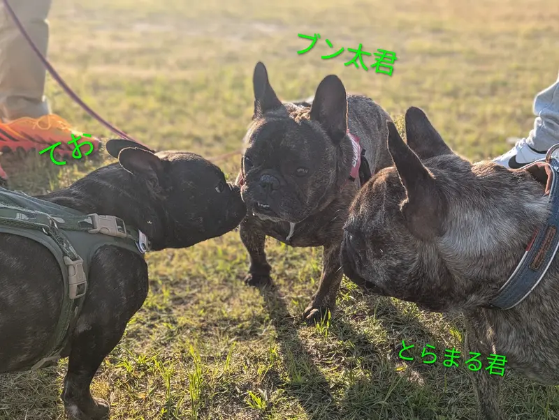 投稿された画像