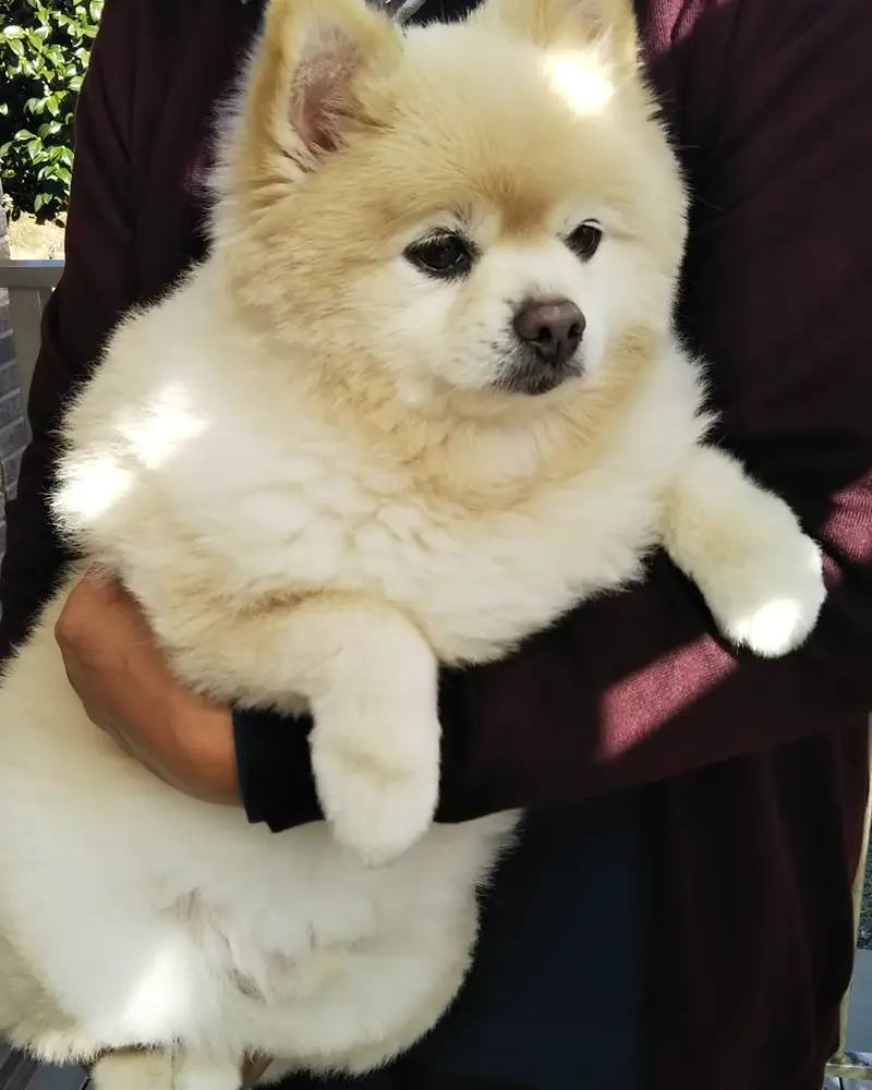 投稿された画像