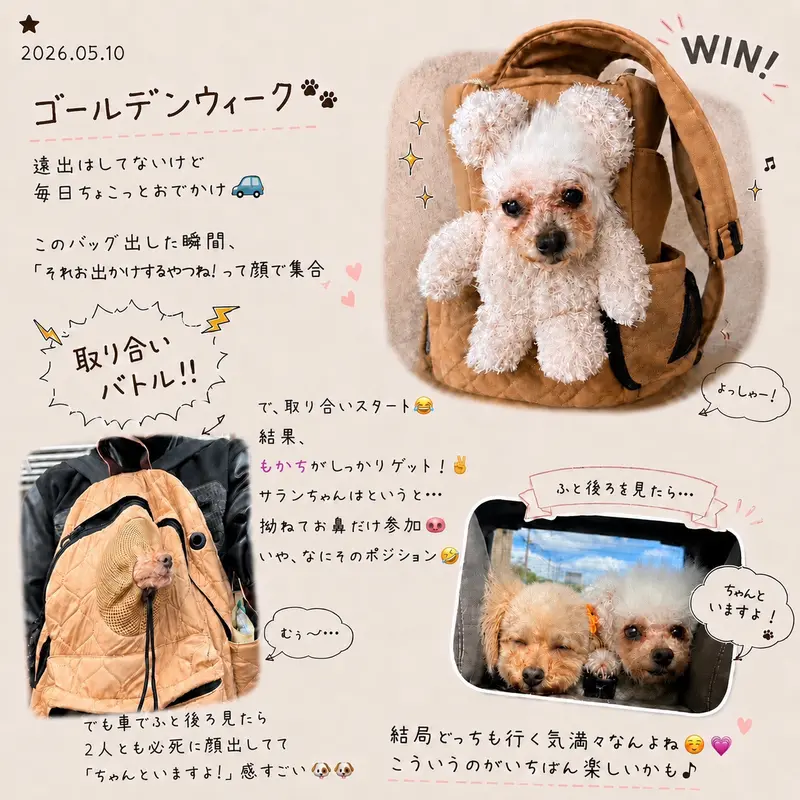 投稿された画像
