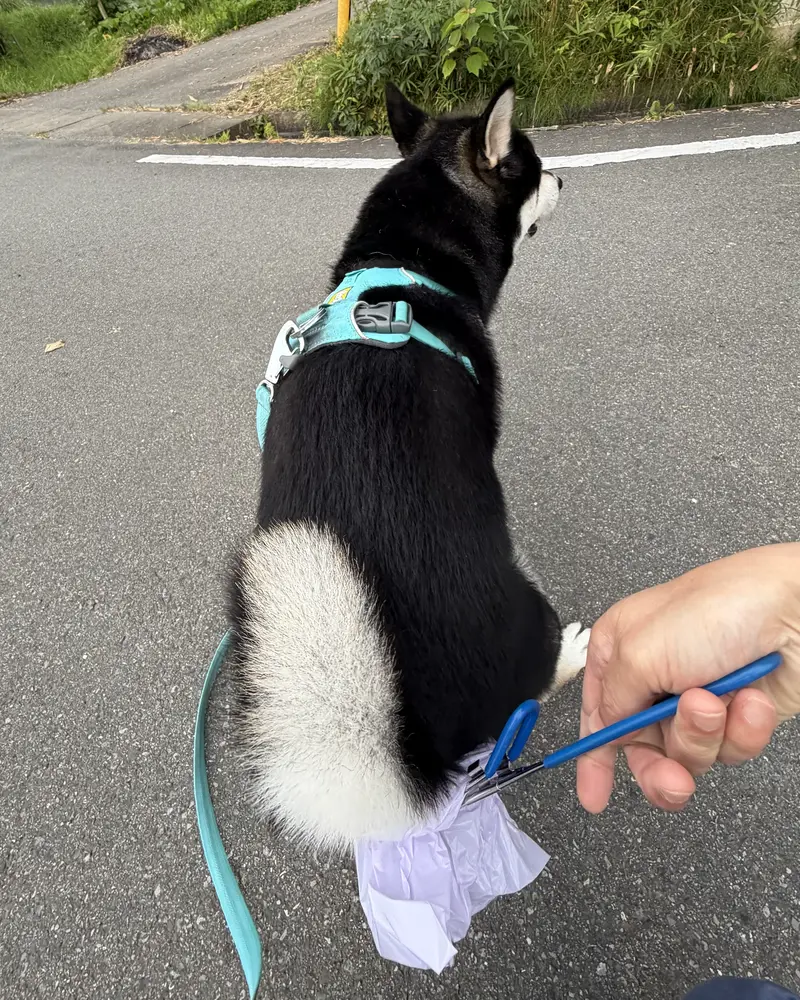 投稿された画像